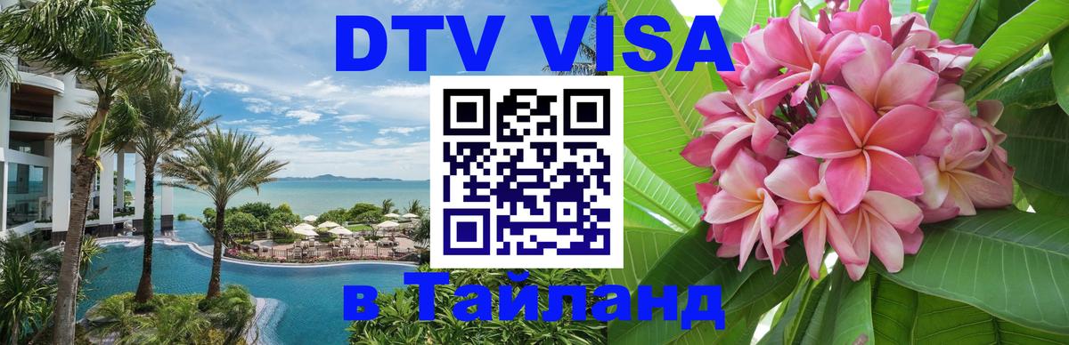 Сколько стоит DTV виза — актуальные цены, оформление даже без документов - 